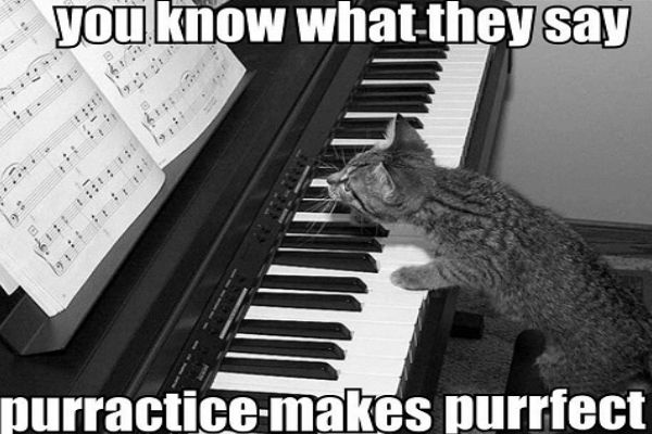 Practice Makes Purrfect